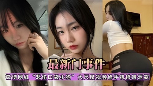 微博网红悲伤口袋小狗性爱视频遭修手机泄露！高清无码私密片段全网疯传，淫水泛滥特写镜头全曝光！